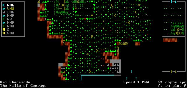 Dwarf Fortress v0.47.04 на русском Dwarf Fortress v0.47.04 на русском