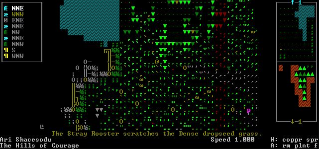 Dwarf Fortress v0.47.04 на русском Dwarf Fortress v0.47.04 на русском