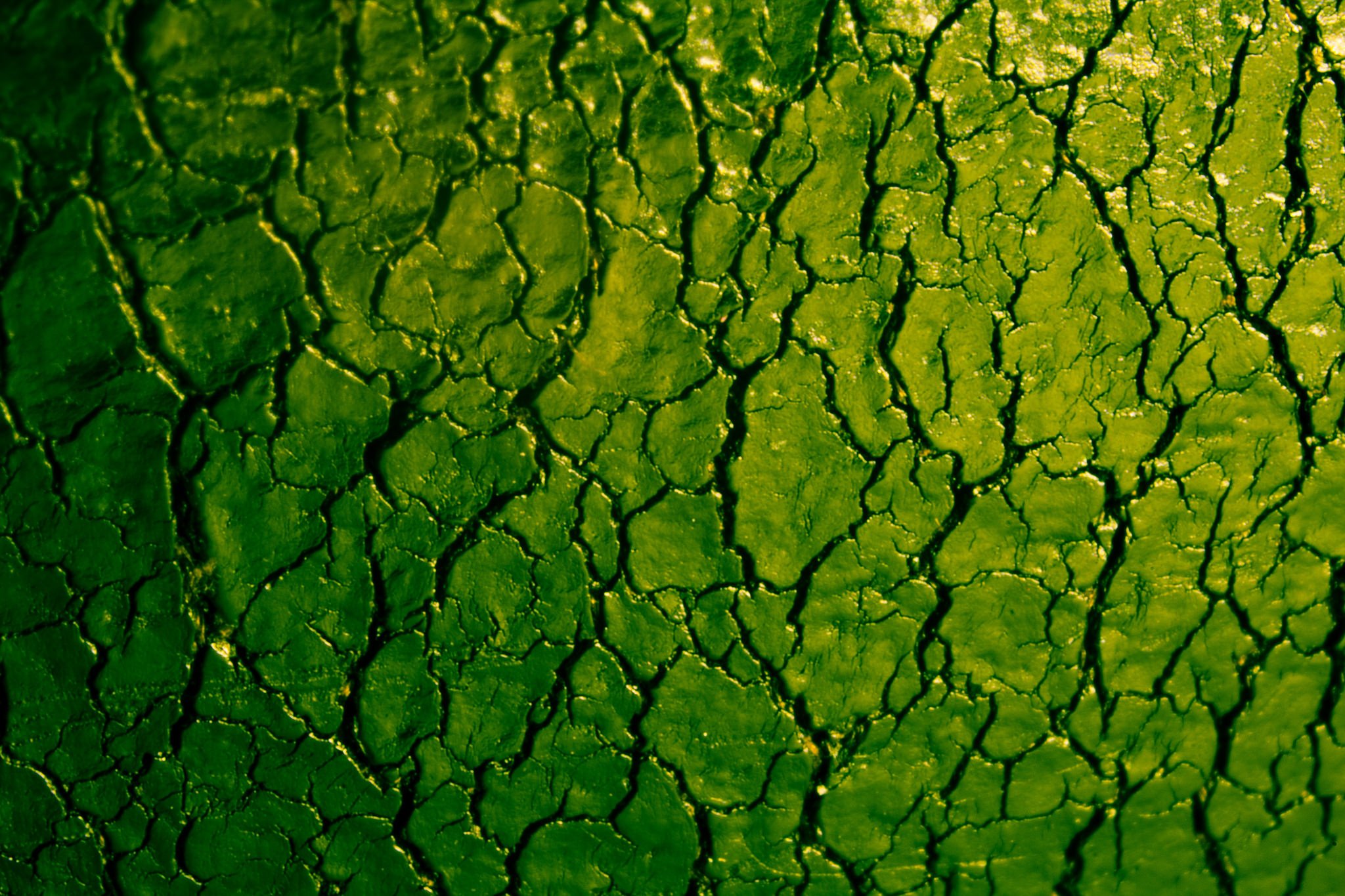 Зеленые трещины