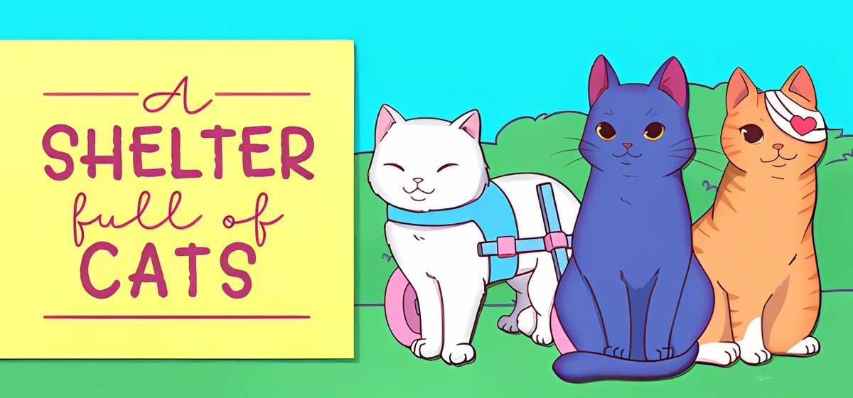 A Shelter Full of Cats